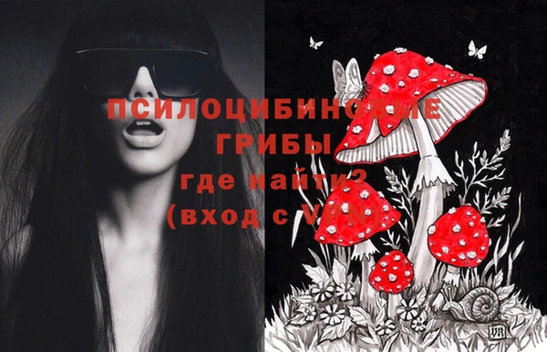 шишки Майский