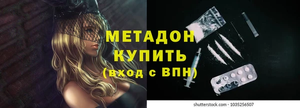 шишки Майский