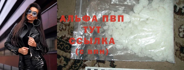 шишки Майский