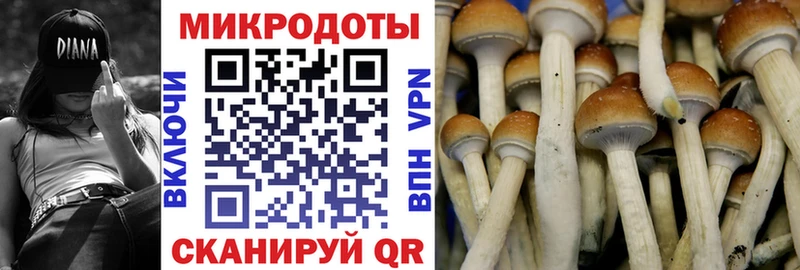 Галлюциногенные грибы ЛСД  ОМГ ОМГ tor  Фокино 